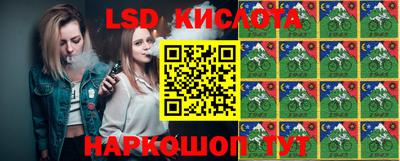 гидра Будённовск