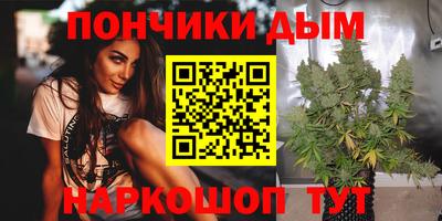 гидра Будённовск