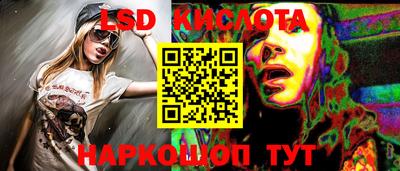 гидра Будённовск