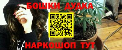 гидра Будённовск
