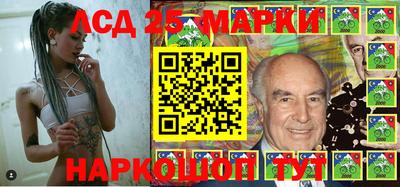 гидра Будённовск